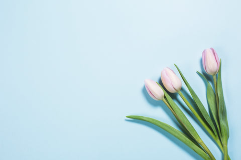 feature-row__image